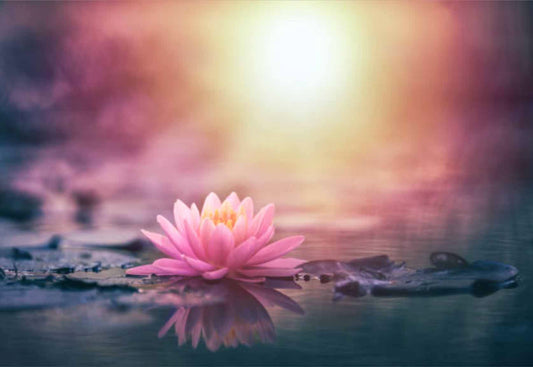 Reiki Angelic Alchemy Healing (R.A.A.H.) - Group Session